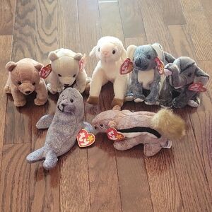 Ty Beanie Babies Set